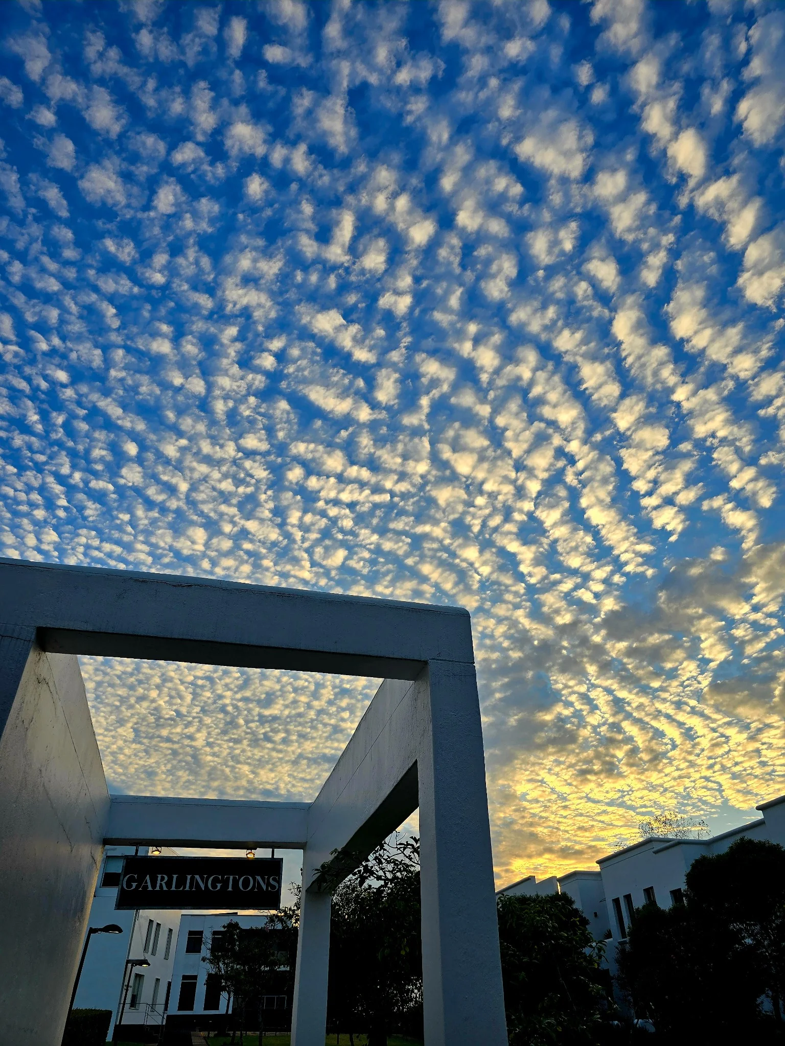 Image gallery marquee