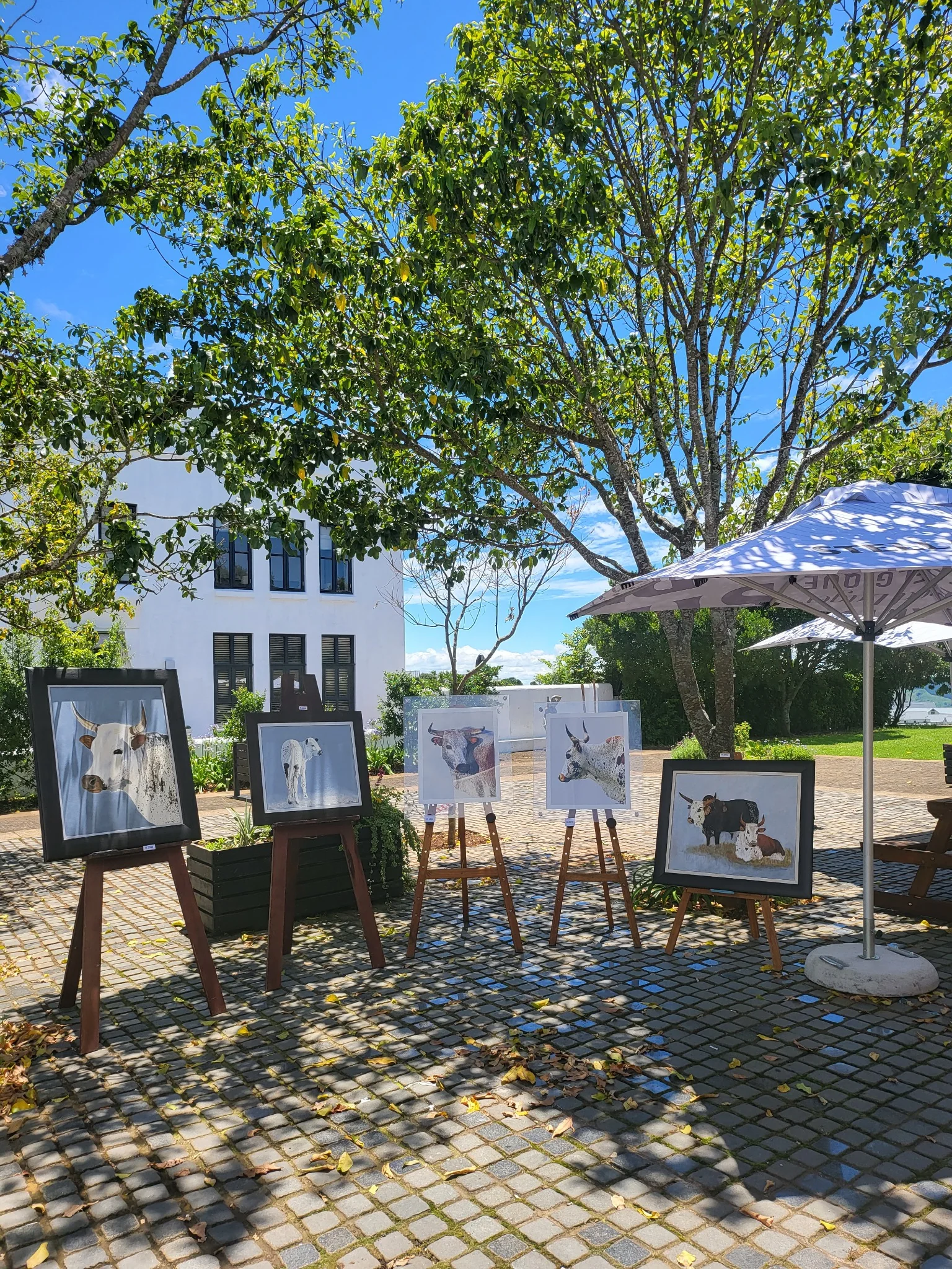 Image gallery marquee